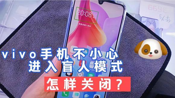 vivo手机设置成盲人模式怎么取消游戏截图