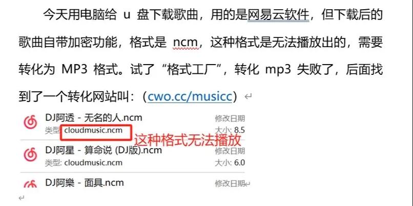 qq音乐的歌曲下载到u盘播放不了图标