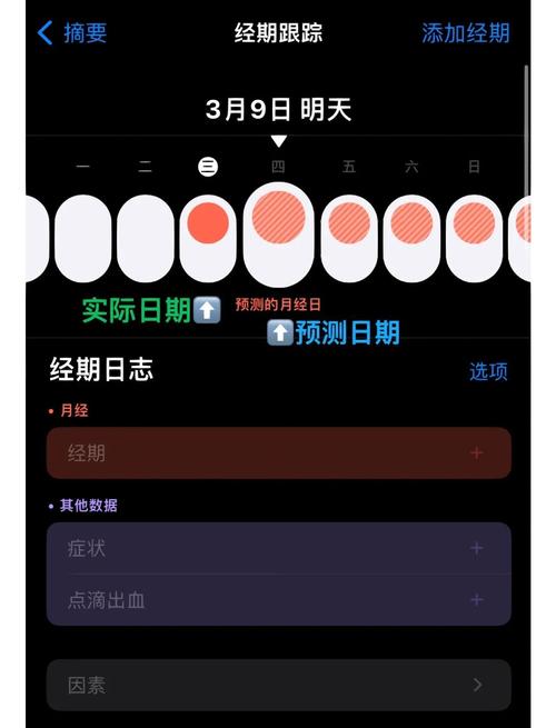 苹果隔空投送有没有历史记录缩略图