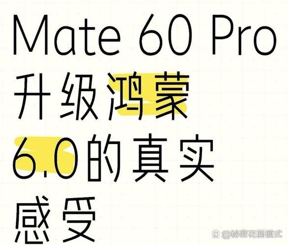 鸿蒙6回退后储存空间减少图标