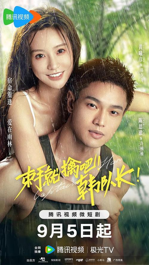 影视大全免费观看电视剧2023缩略图