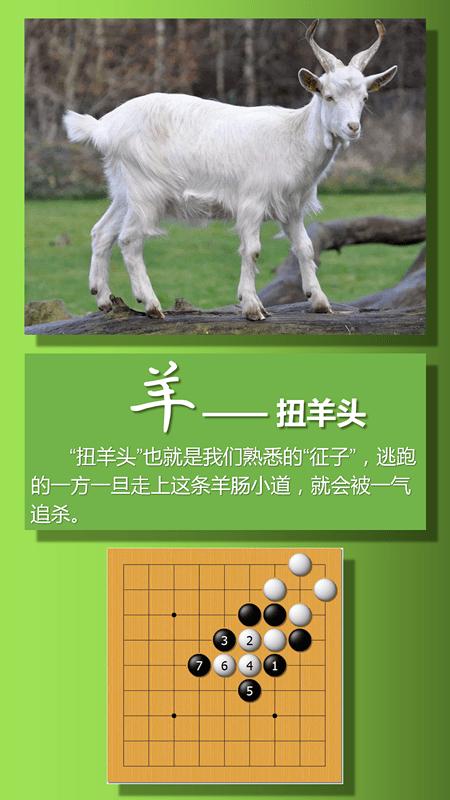 围棋打一生肖