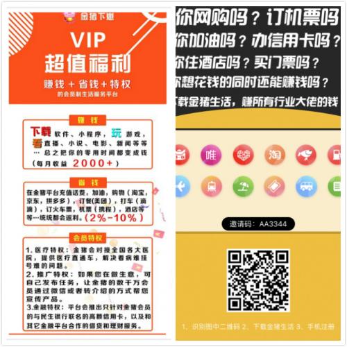 金猪赚大钱邀请码图标
