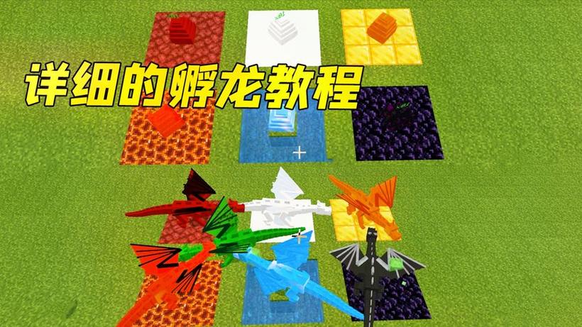我的世界龙蛋怎么快速孵化