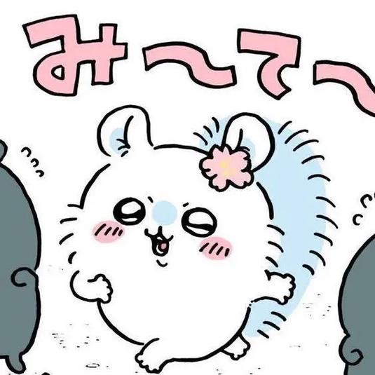 飞鼠最讨厌三种东西