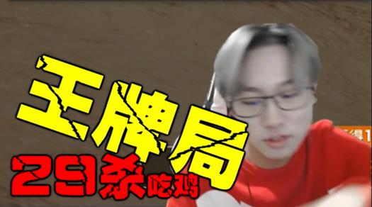 吃鸡29小技巧