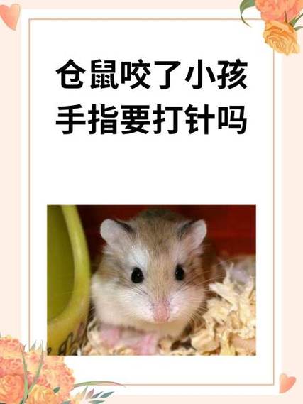 仓鼠咬人需要打针吗缩略图