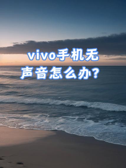 vivo手机媒体突然没有声音了怎么回事游戏截图
