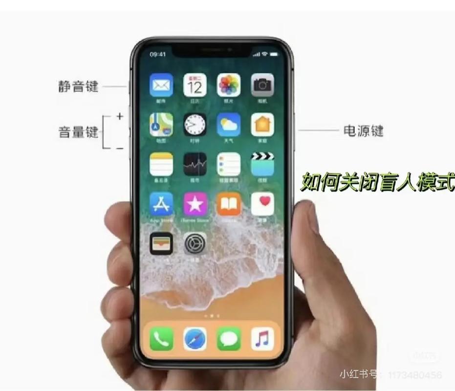 iphone进入盲人模式怎么退出图标