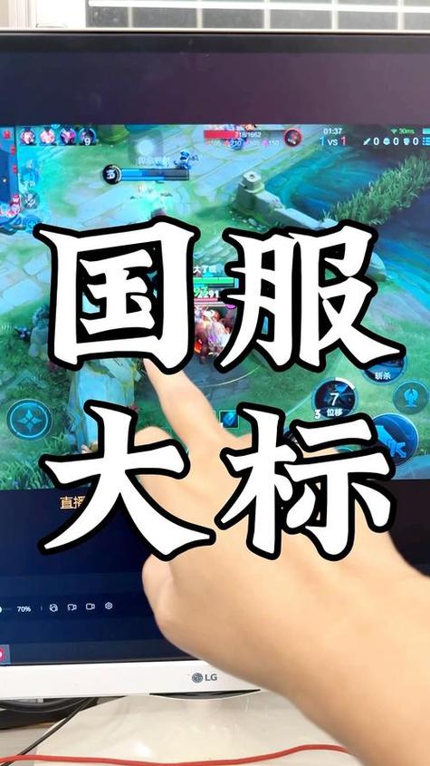 王者荣耀国服标志图标图标