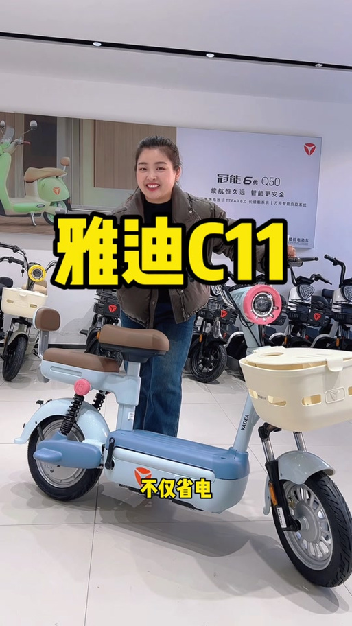 雅迪电动车价格表游戏截图