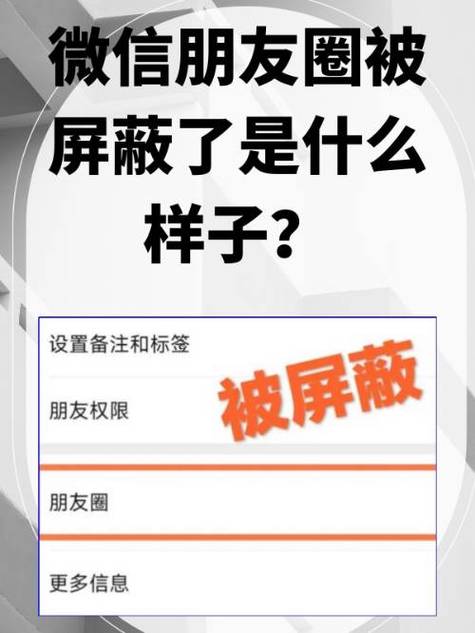 能看到背景图看不到朋友圈怎么回事游戏截图