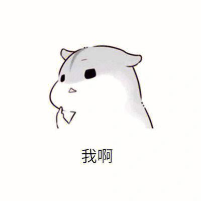 其实我真的很喜欢你仓鼠表情包缩略图