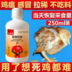 喂小鸡需要吃什么药缩略图
