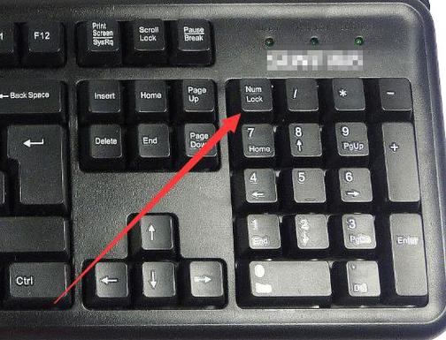 笔记本数字键盘打不出数字