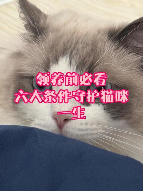excel表格输入内容不符合条件限制缩略图