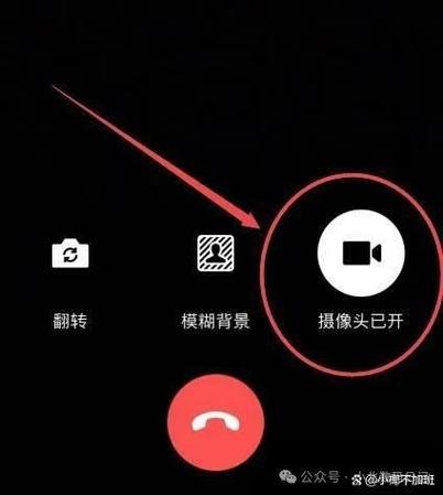 视频聊天中如何让对方看不见你游戏截图