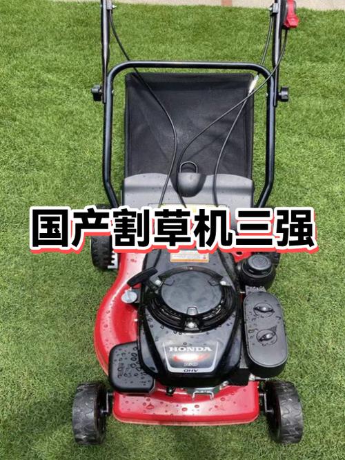 国产割草机第一名游戏截图
