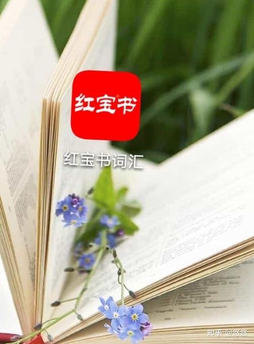 红宝书app序列号生成器缩略图