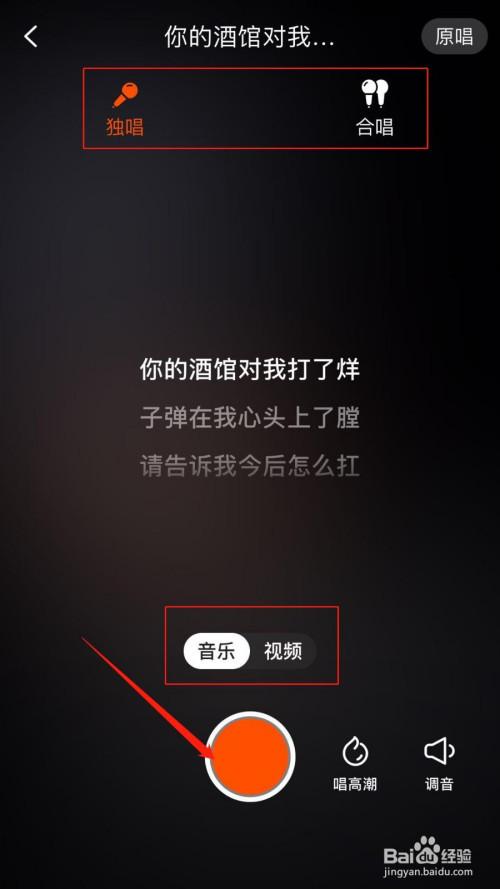 快手唱歌伴奏怎么弄自己唱的游戏截图