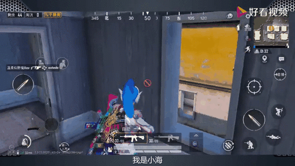 和平精英鸭腿辅助