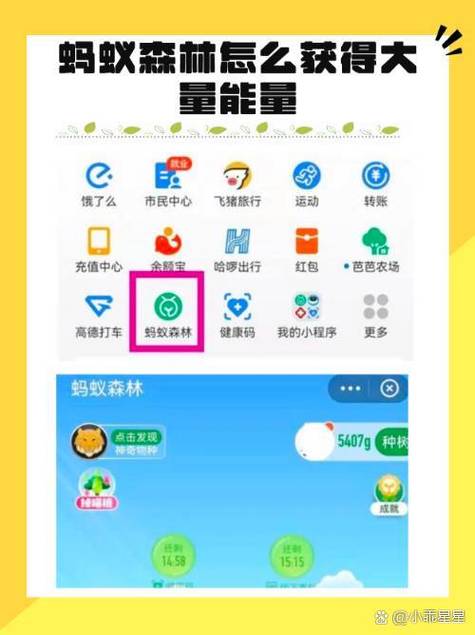 蚂蚁森林钉钉能量攻略