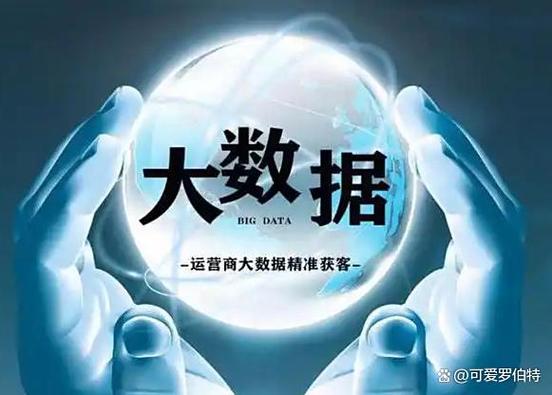 大数据面临的主要风险是什么游戏截图