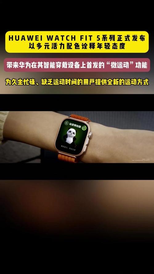 华为fit5功能详细介绍缩略图