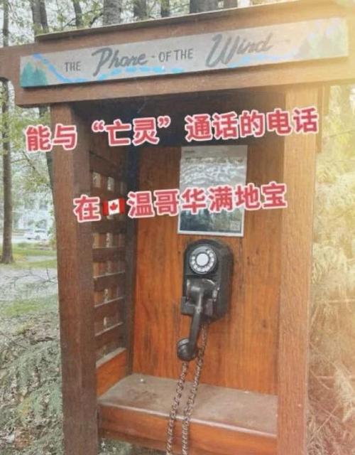 一年前的通话记录怎么查游戏截图