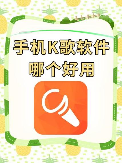 雅兰仕声卡sy6连接手机k歌缩略图