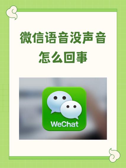 发出的语音没有声音怎么回事呀