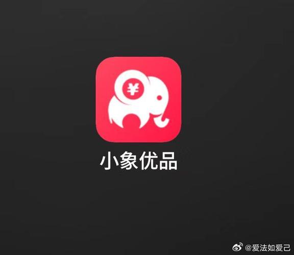 有没有跟小象优品一样的平台