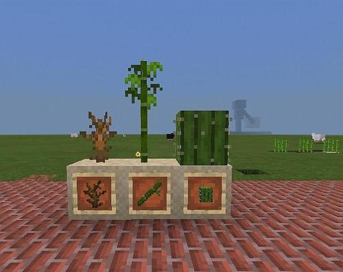 mc仙人掌怎么种植缩略图