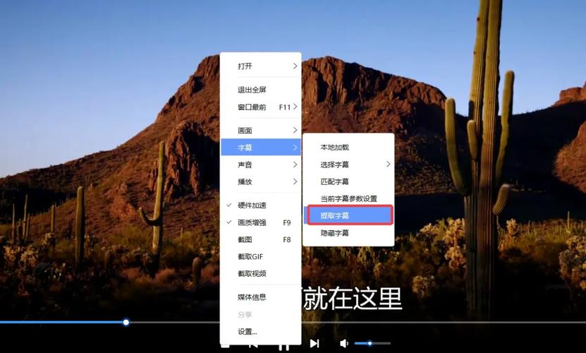 迅雷上的在线字幕能下载吗游戏截图
