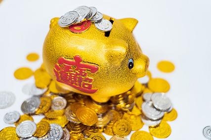 金猪纳财的寓意和象征游戏截图