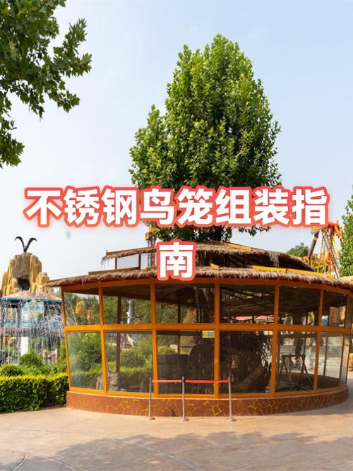 新买的鸟笼直接装鸟吗缩略图