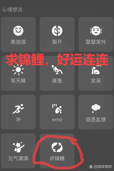 女人微信叫锦鲤的含义缩略图