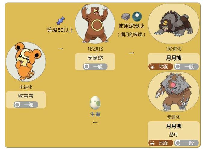 宝可梦的等级划分