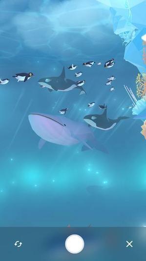 金多多水族馆靠谱吗缩略图