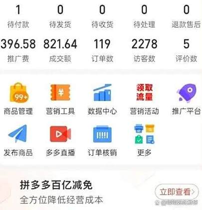 拼多多是靠什么挣钱的游戏截图