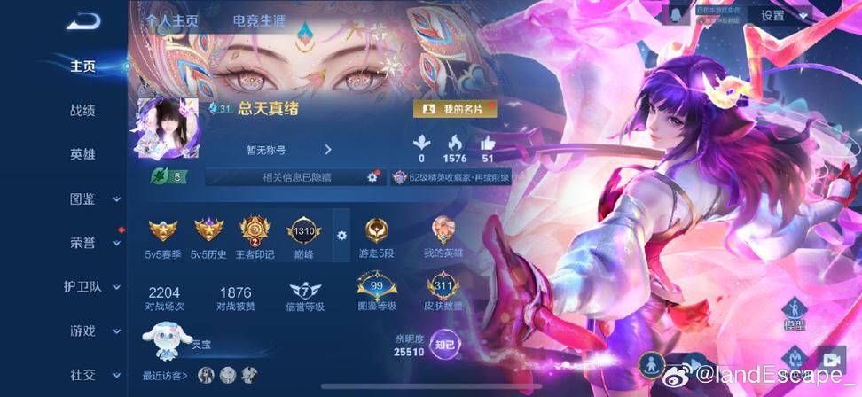 王者荣耀如何查看英雄场次缩略图