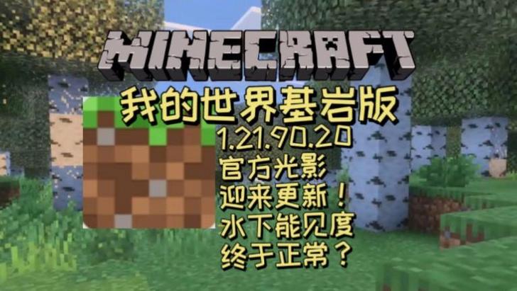 手机版我的世界基岩版真实光影下载游戏截图