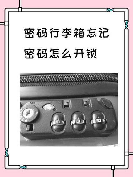 新秀丽拉杆箱密码忘了开锁视频缩略图