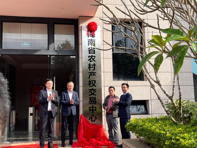 海南省交易中心公共资源网缩略图