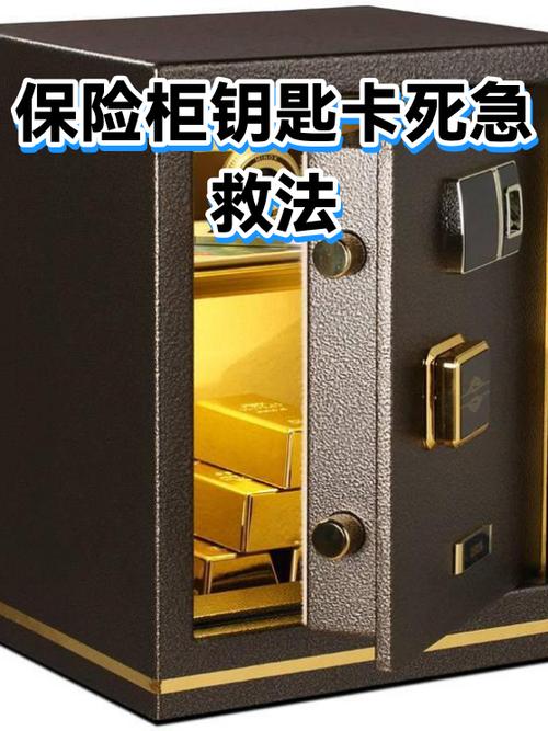 台铃电动车钥匙插不进去怎么办缩略图
