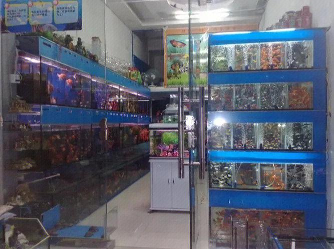 开一个小型水族馆多少钱缩略图