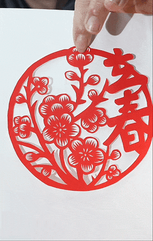 迎春花什么时候剪最合适缩略图