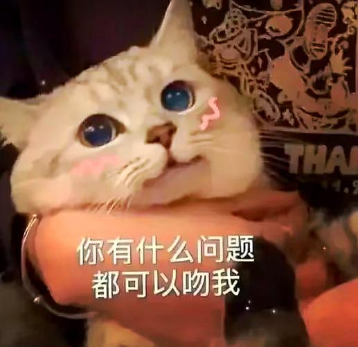 哄女朋友开心的表情包缩略图