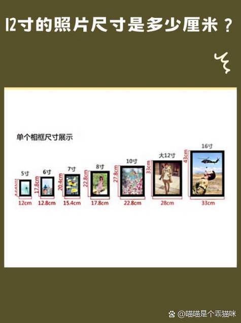 照片尺寸大小对照表图标