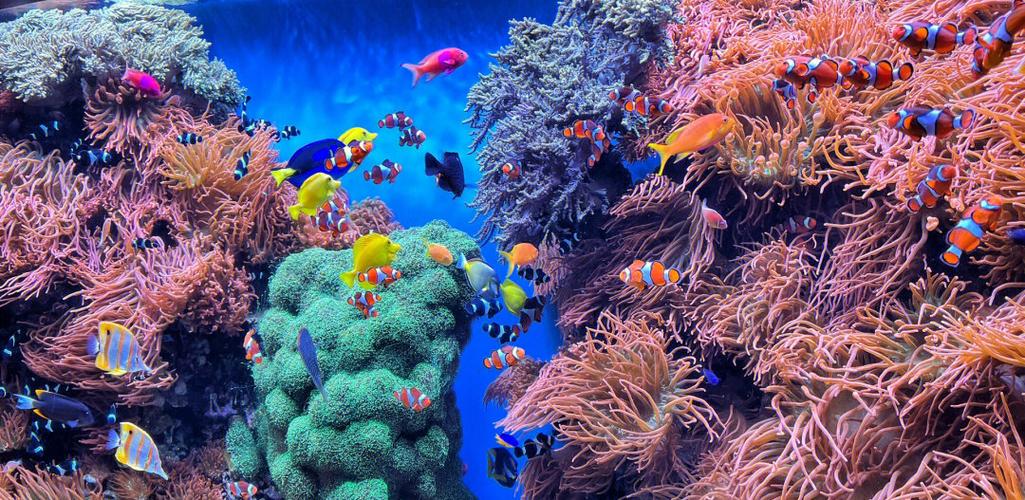 小型水族馆一天能赚多少钱游戏截图